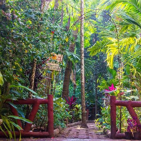 Maitreya Beach Resort Diveāgar Eksteriør bilde