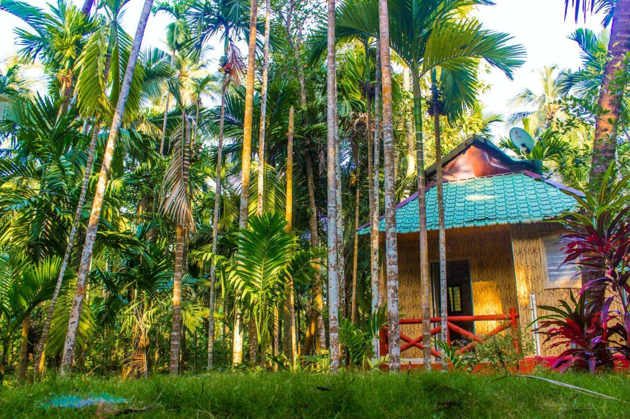 Maitreya Beach Resort Diveāgar Eksteriør bilde
