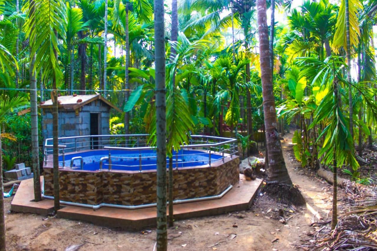 Maitreya Beach Resort Diveāgar Eksteriør bilde